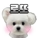 lotto._.230128 프로필 사진