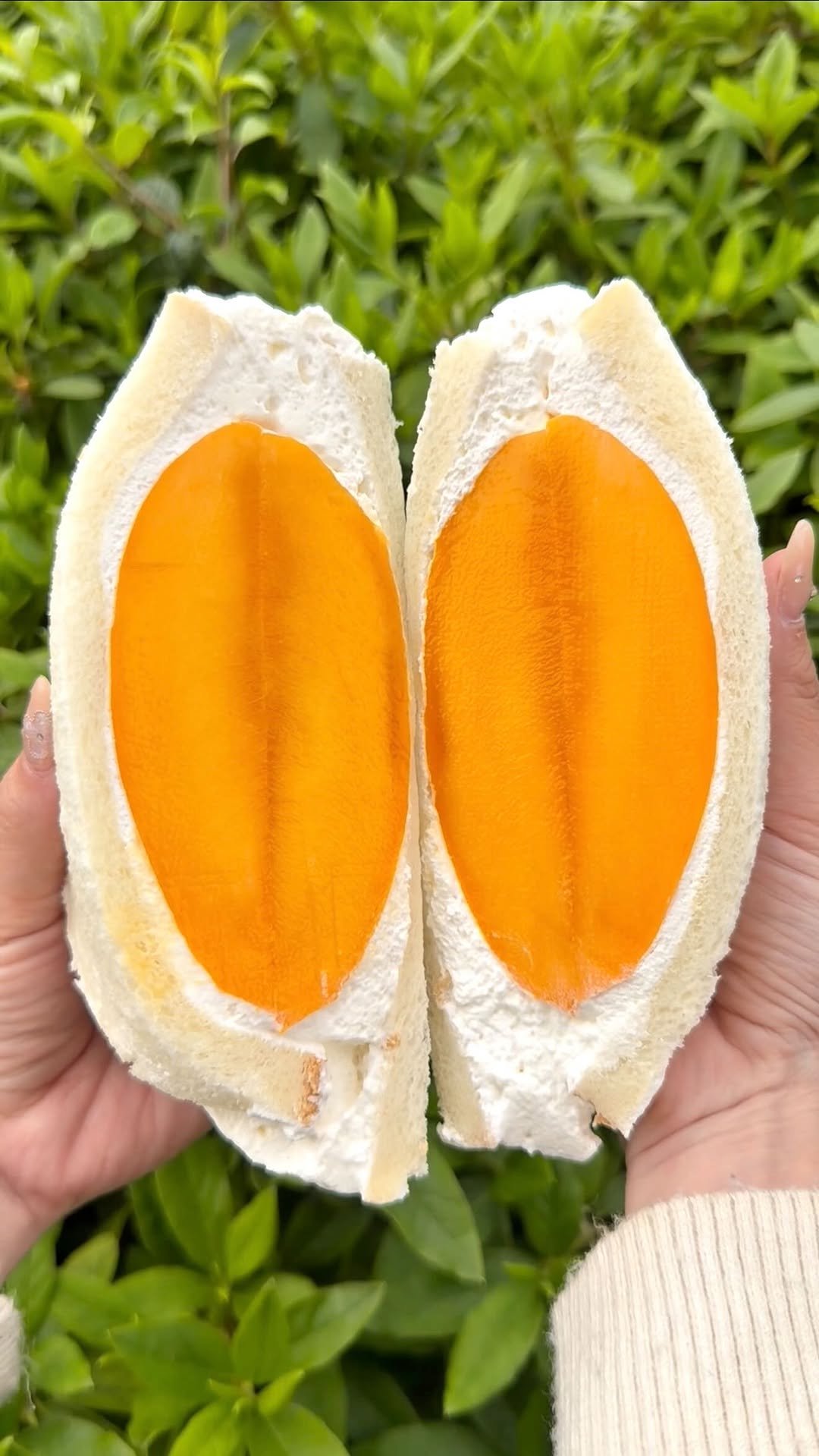 gacchi_gourmet 게시물 이미지: 【宮崎マンゴー丸ごと使った極上のマンゴーフルーツサンド🥭】

名古屋・名東区にある『八百屋たこ...