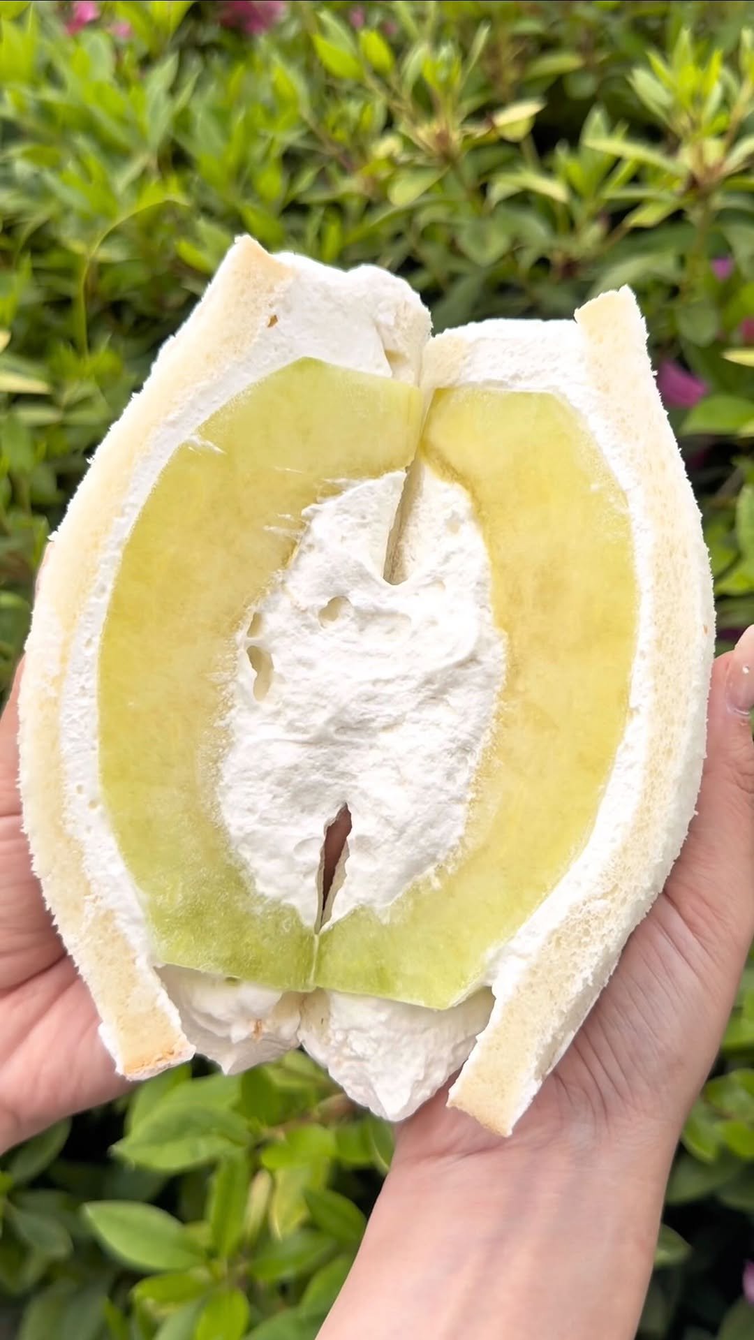 gacchi_gourmet 게시물 이미지: 【クラウンメロンのフルーツサンド🍈】

名古屋・名東区にある『八百屋たこ焼き壮』

新鮮で美味...