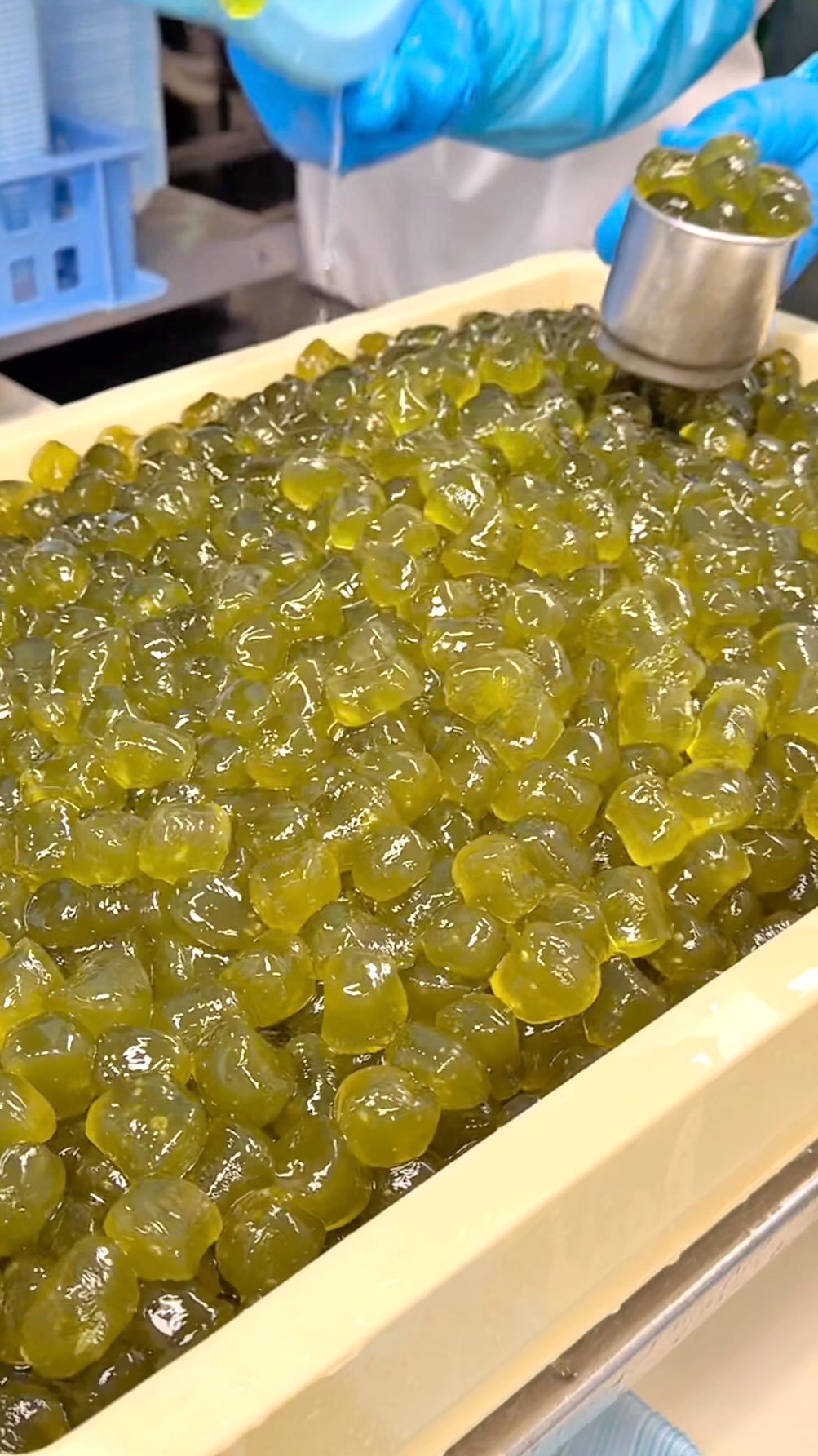 gacchi_gourmet 게시물 이미지: 【年間1億粒以上作られるぷるもちわらび餅】

スーパーマーケットで誰もが見たことある
日本一有...