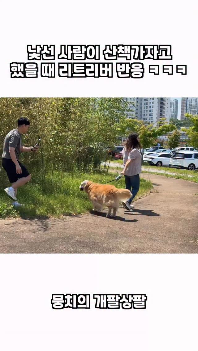 gaemungchi 게시물 이미지: -
낯선 사람이 산책가자고 했을 때 리트리버 반응 ㅋㅋㅋ

우리개랑 쌓어온 세월이...