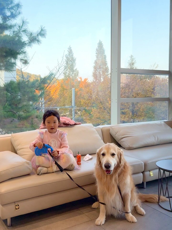 gaemungchi 게시물 이미지: -
애비야, 여기가 강원도가?? 🐶
한놈만 아파도 집이 비상인데 둘 다 아픔...