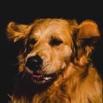 gaemungchi 인스타그램 프로필 사진