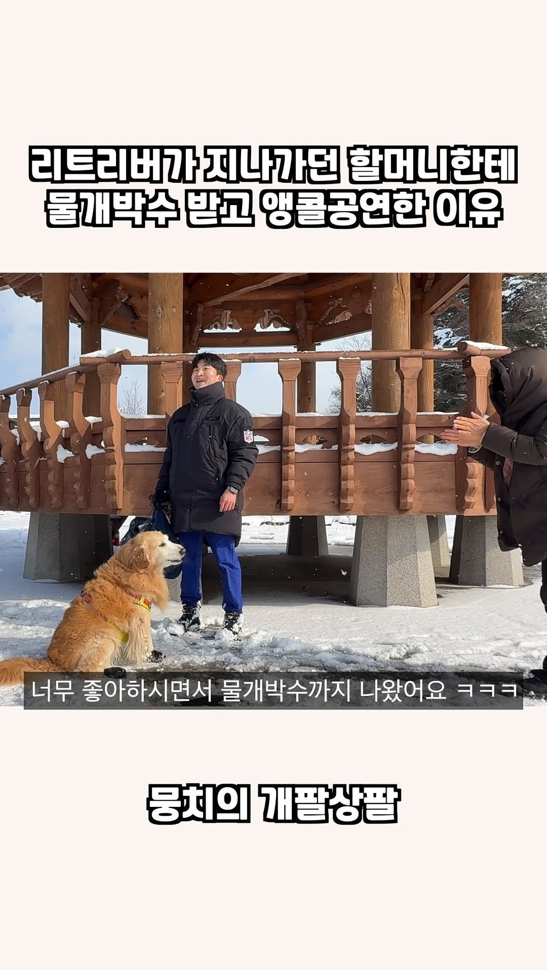 gaemungchi 게시물 이미지: -
리트리버가 지나가던 할머니한테 물개박수 받고 앵콜공연한 이유

뭉치 신발...