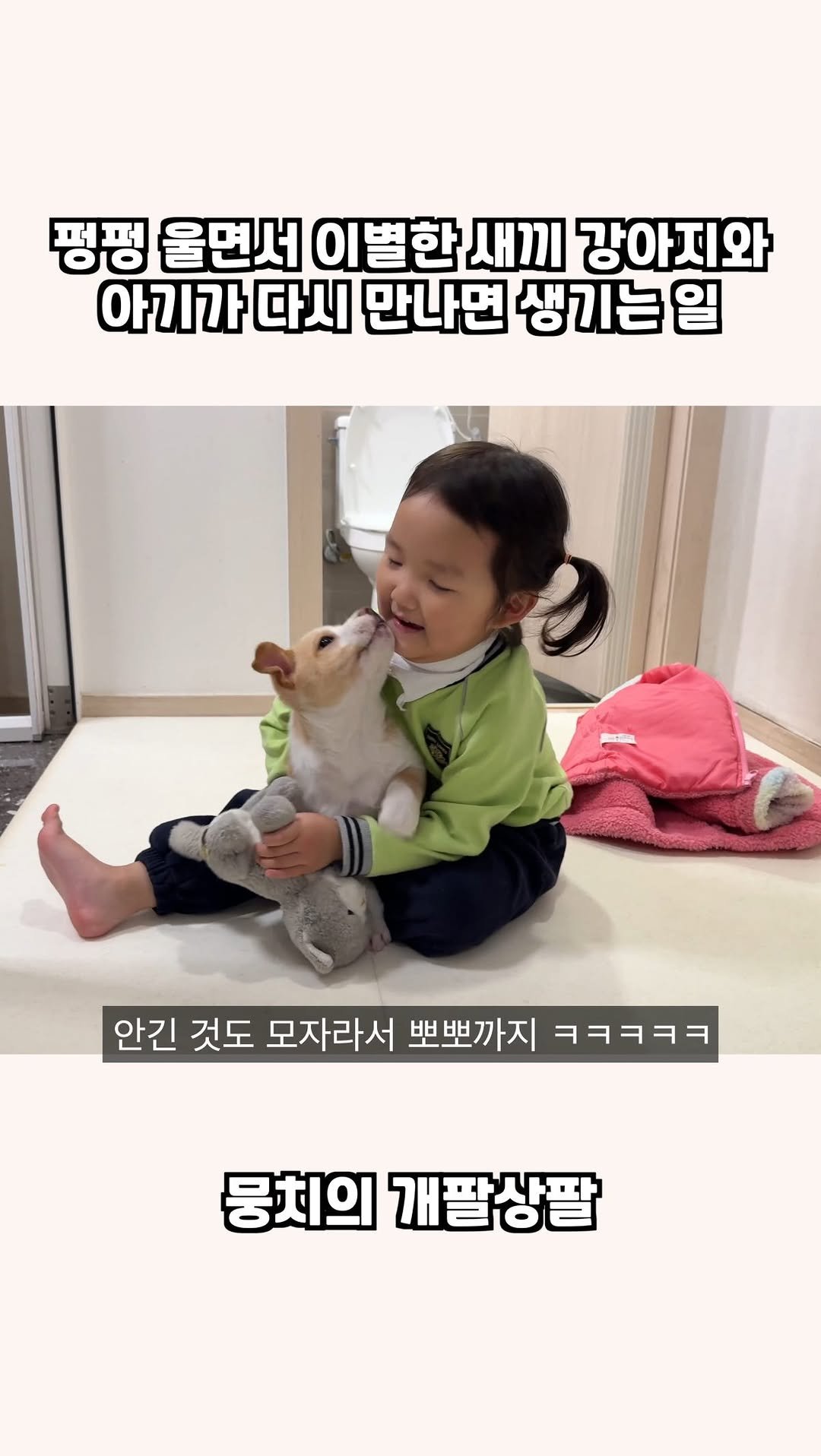 gaemungchi 게시물 이미지: -
펑펑 울면서 이별한 새끼 강아지와 아기가 다시 만나면 생기는 일

세상 서럽게...