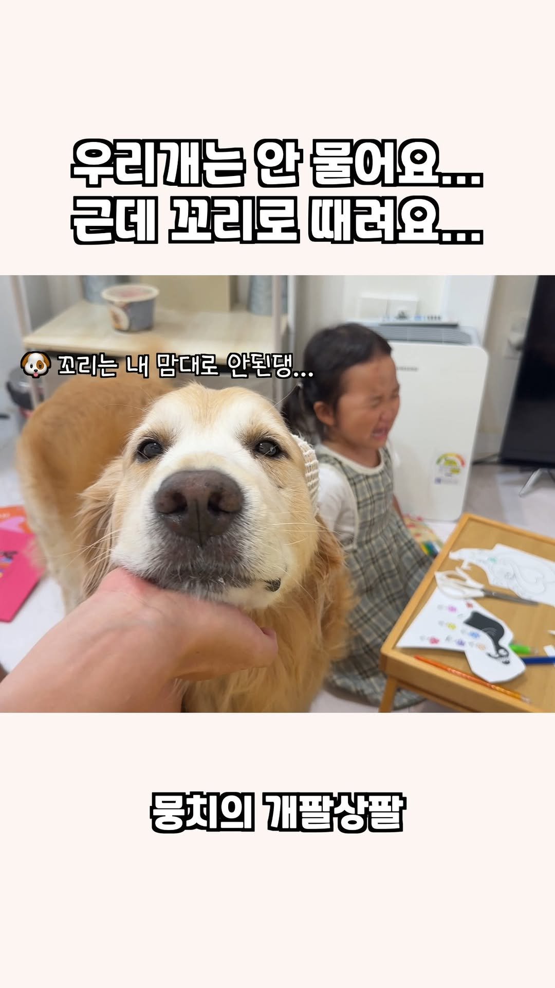 gaemungchi 게시물 이미지: -
우리개는 안 물어요… 근데 꼬리로 때려요…

우리개는 착해가꼬 지가 물려도...