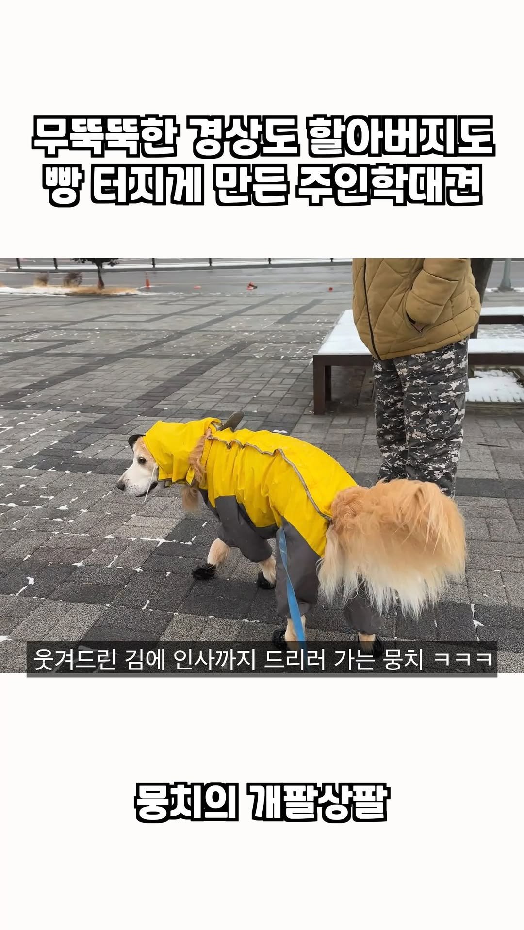 gaemungchi 게시물 이미지: -
무뚝뚝한 경상도 할아버지도 빵 터지게 만든 주인학대견

우리개가 애비를 학대하고...