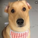 kiimmansiik 프로필 사진