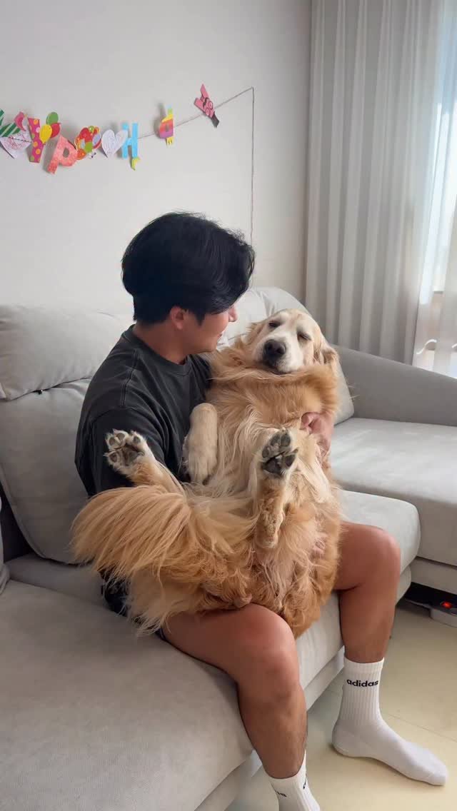 gaemungchi 게시물 이미지: -
30kg 대형견 아기처럼 잠재우는 방법 ㅋㅋㅋ

우리 티컵 강아지 한번...