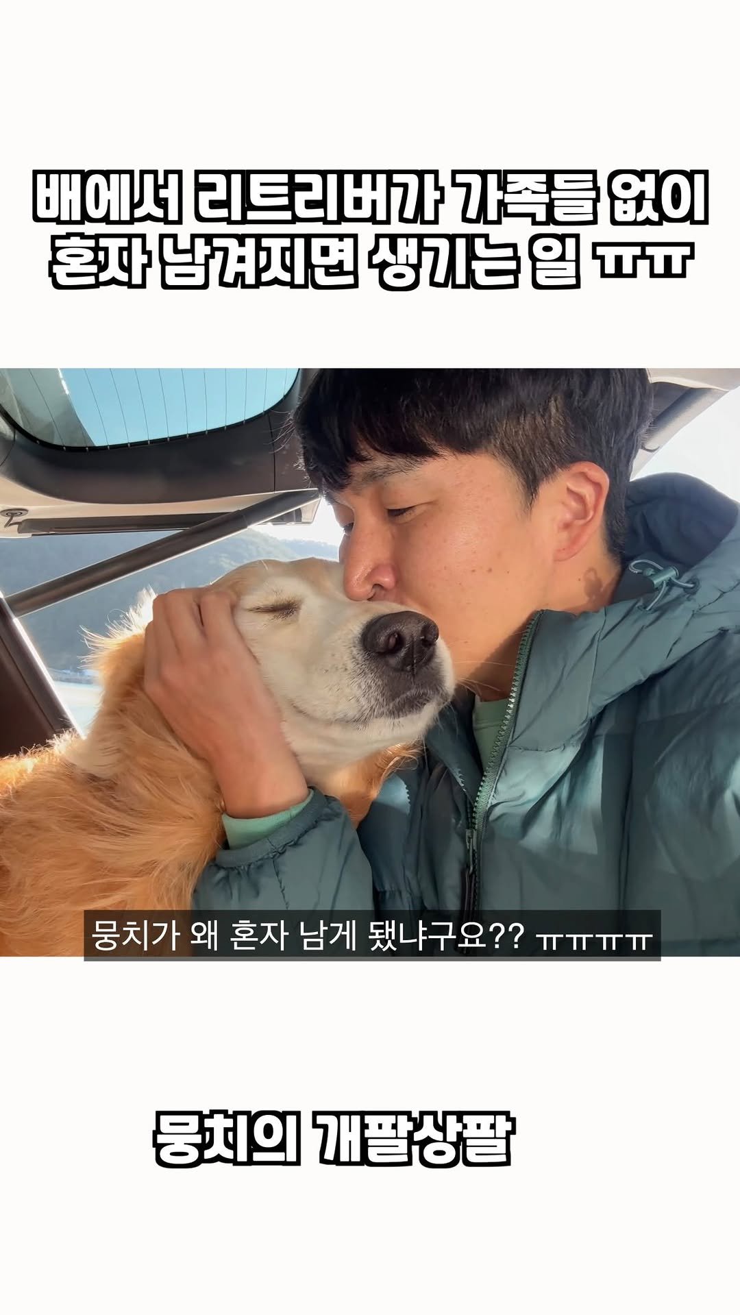 gaemungchi 게시물 이미지: -
배에서 리트리버가 가족들 없이 혼자 남겨지면 생기는 일 ㅠㅠ

욕지도 갈 때...