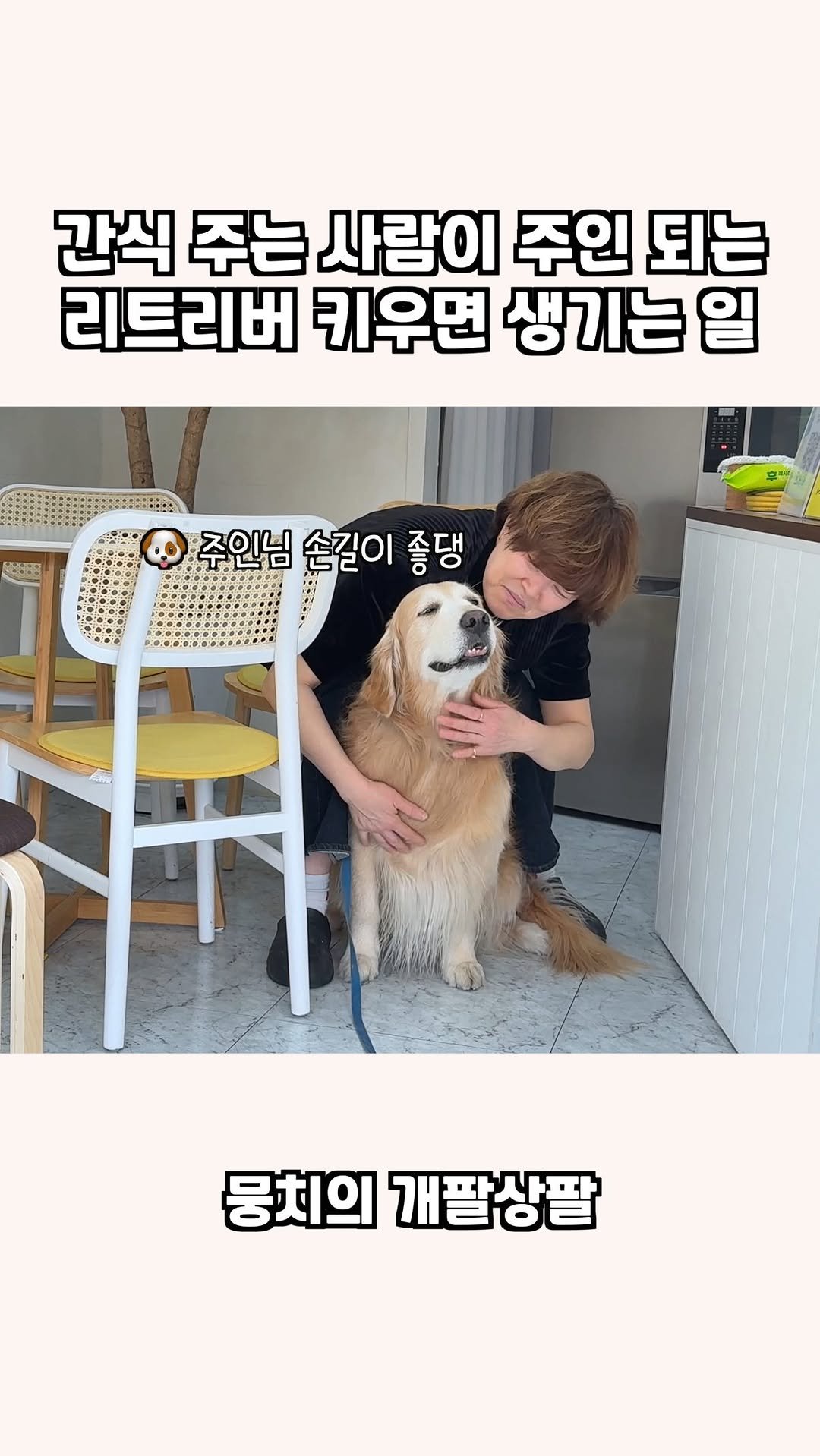 gaemungchi 게시물 이미지: -
간식 주는 사람이 주인 되는 리트리버 키우면 생기는 일

우리개는 간식이면...