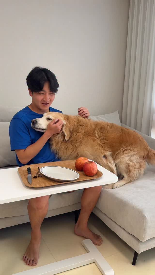 gaemungchi 게시물 이미지: -
과일 깎다가 리트리버가 멱살 잡힌 귀여운 이유 ㅋㅋㅋ
 
뭉치가 사과 먹을...