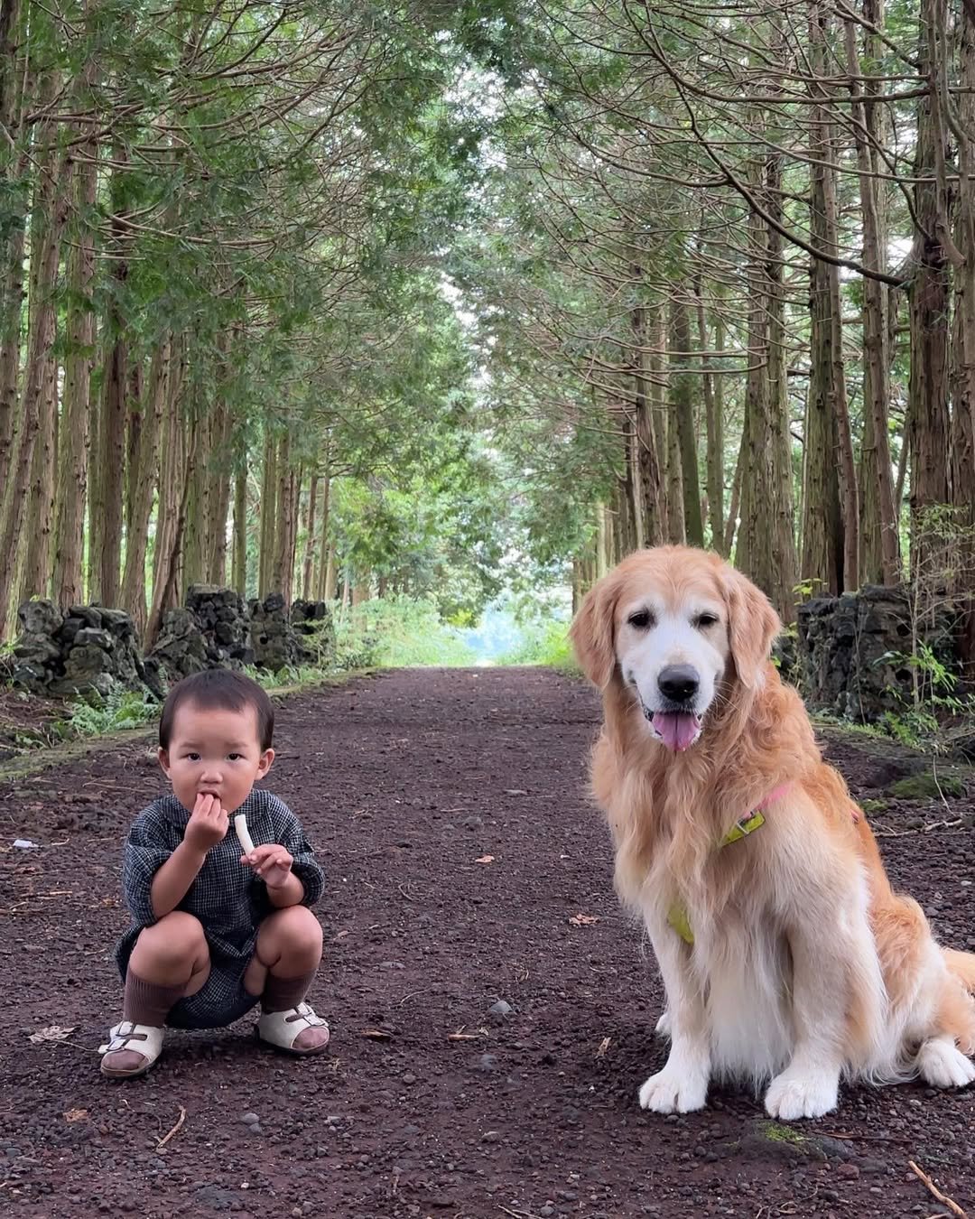 Photo by 뭉치의 개팔상팔 on October 01, 2023.