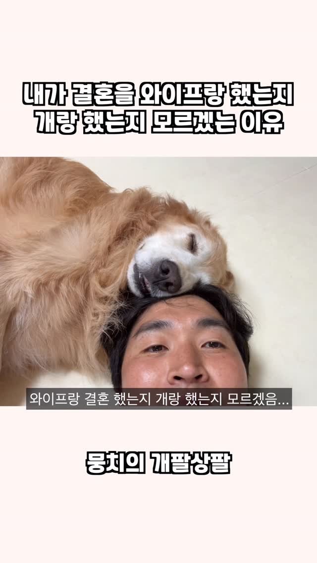 gaemungchi 게시물 이미지: -
내가 결혼을 와이프랑 했는지 개랑 했는지 모르겠는 이유

난 가끔 헷갈려요…...