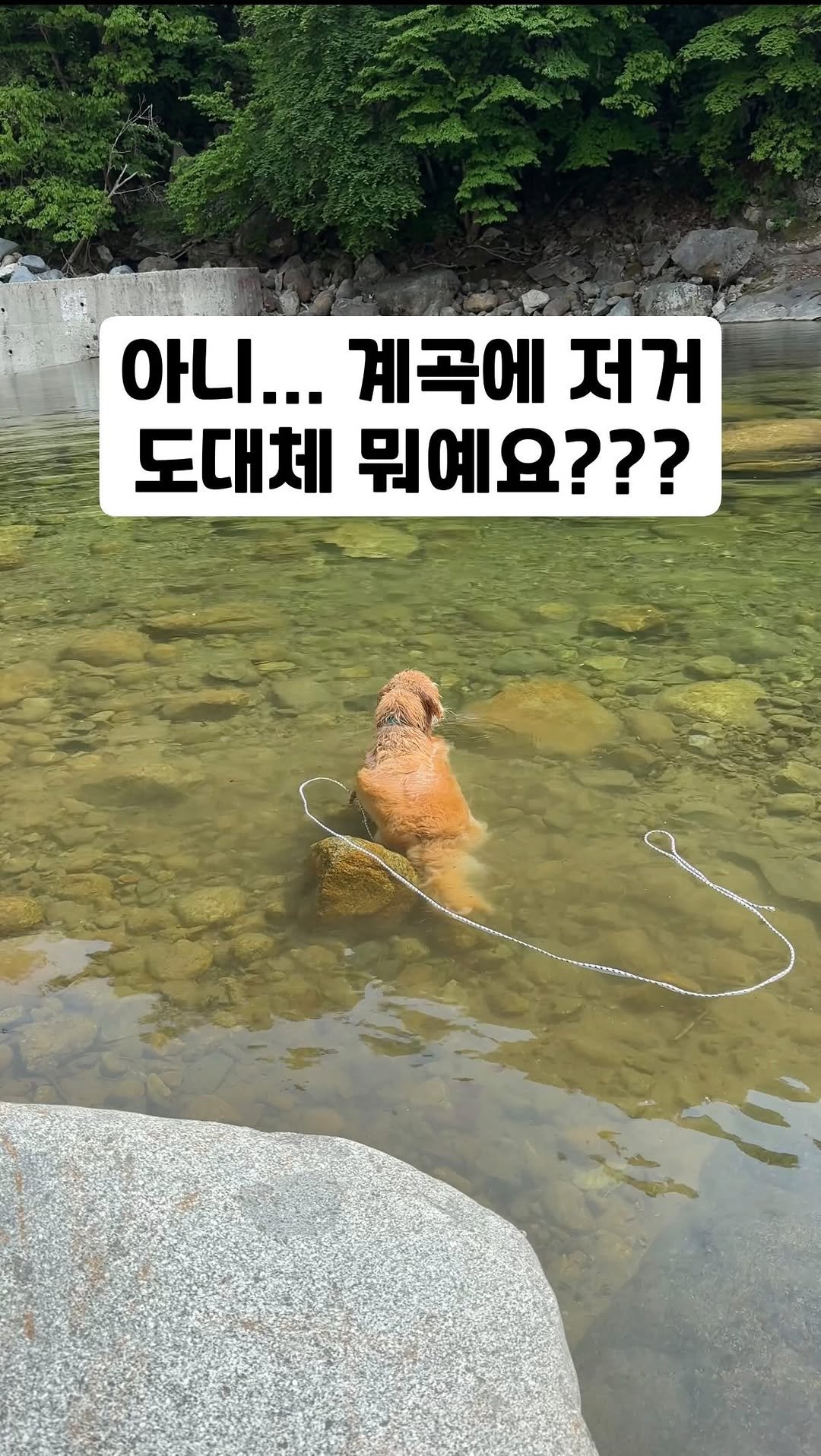 gaemungchi 게시물 이미지: -
아니… 계곡에 도대체 저거 뭐예요???

진짜 지나가는 사람이 보면 노루가...