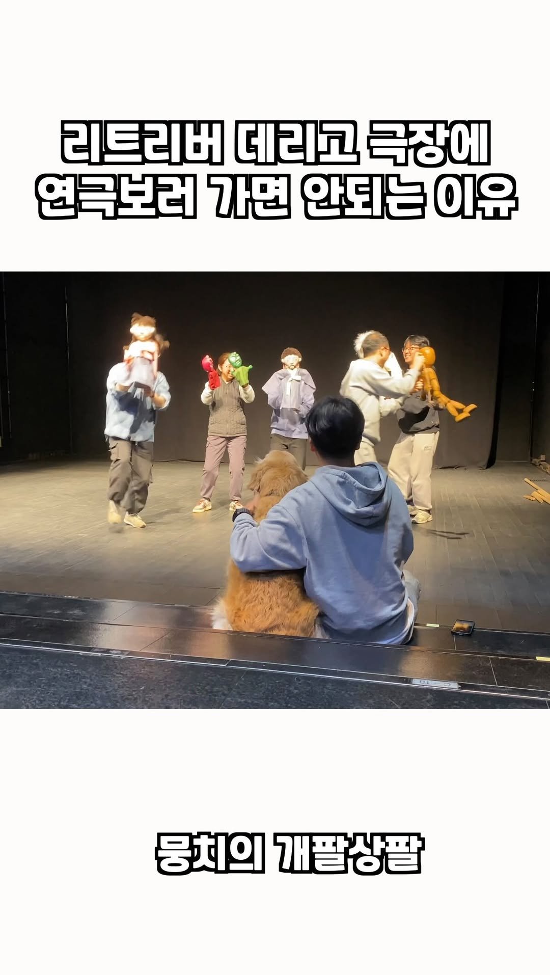 gaemungchi 게시물 이미지: -
리트리버 데리고 극장에 연극보러 가면 안되는 이유 ㅋㅋㅋ

뭉치랑 연극...
