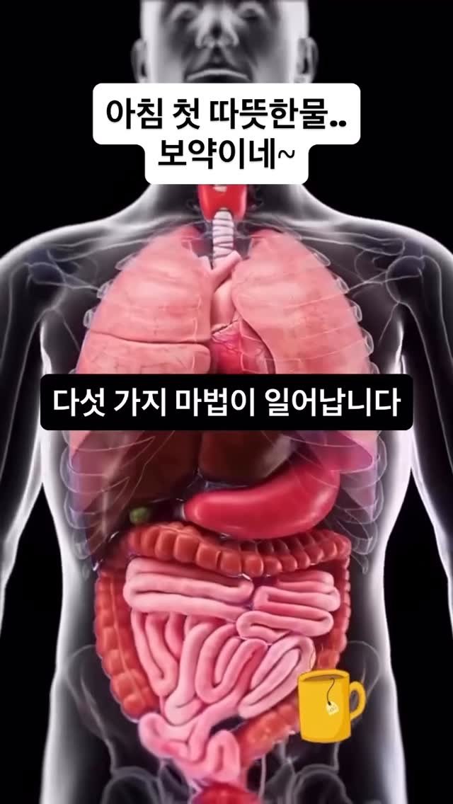 gaengstar1 게시물 이미지: 아침 공복에 따뜻한물 꼭 드세요~