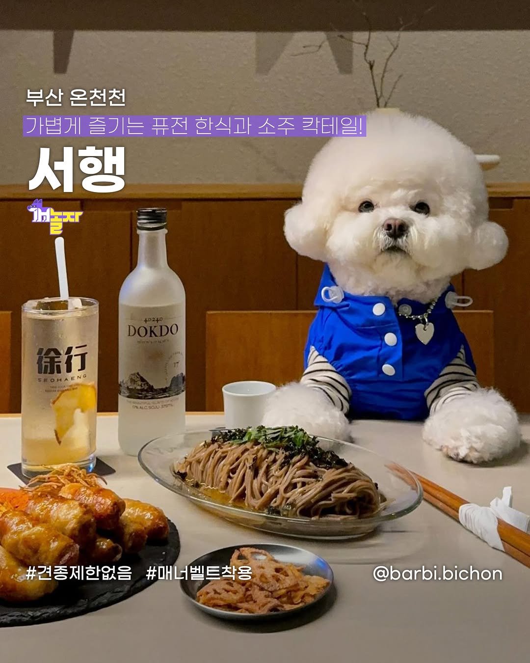 Photo shared by 개놀자 애견동반 반려동물 애견동반장소 애견동반앱 강아지 on March 26, 2024 tagging @barbi.bichon, and @no____sun.