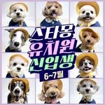 starmong_official 프로필 사진