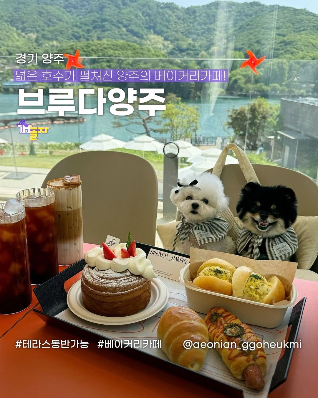 Photo shared by 개놀자 애견동반 반려동물 애견동반장소 애견동반앱 강아지 on June 05, 2024 tagging @brewda.yangju, and @aeonian_ggoheukmi.