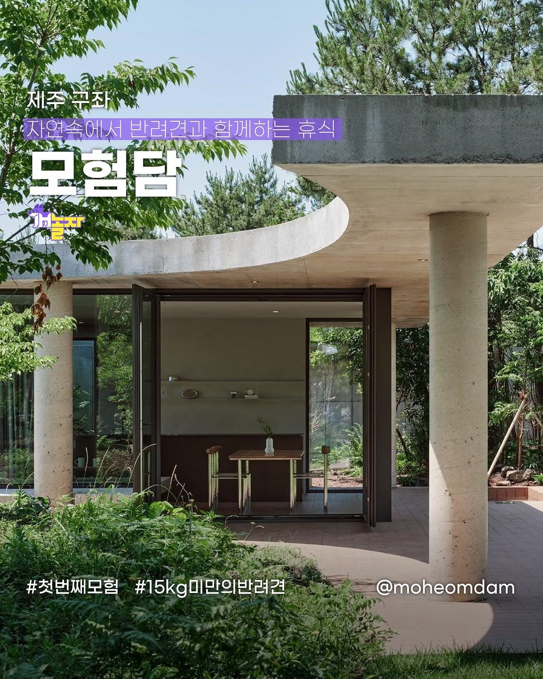 Photo shared by 개놀자 애견동반 반려동물 애견동반장소 애견동반앱 강아지 on January 09, 2025 tagging @moheomdam.