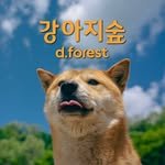 d.forest_park 프로필 사진
