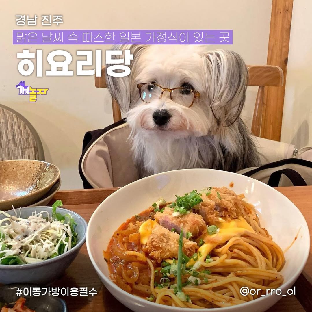 Photo shared by 개놀자 애견동반 반려동물 애견동반장소 애견동반앱 강아지 on May 07, 2024 tagging @or_rro_ol.