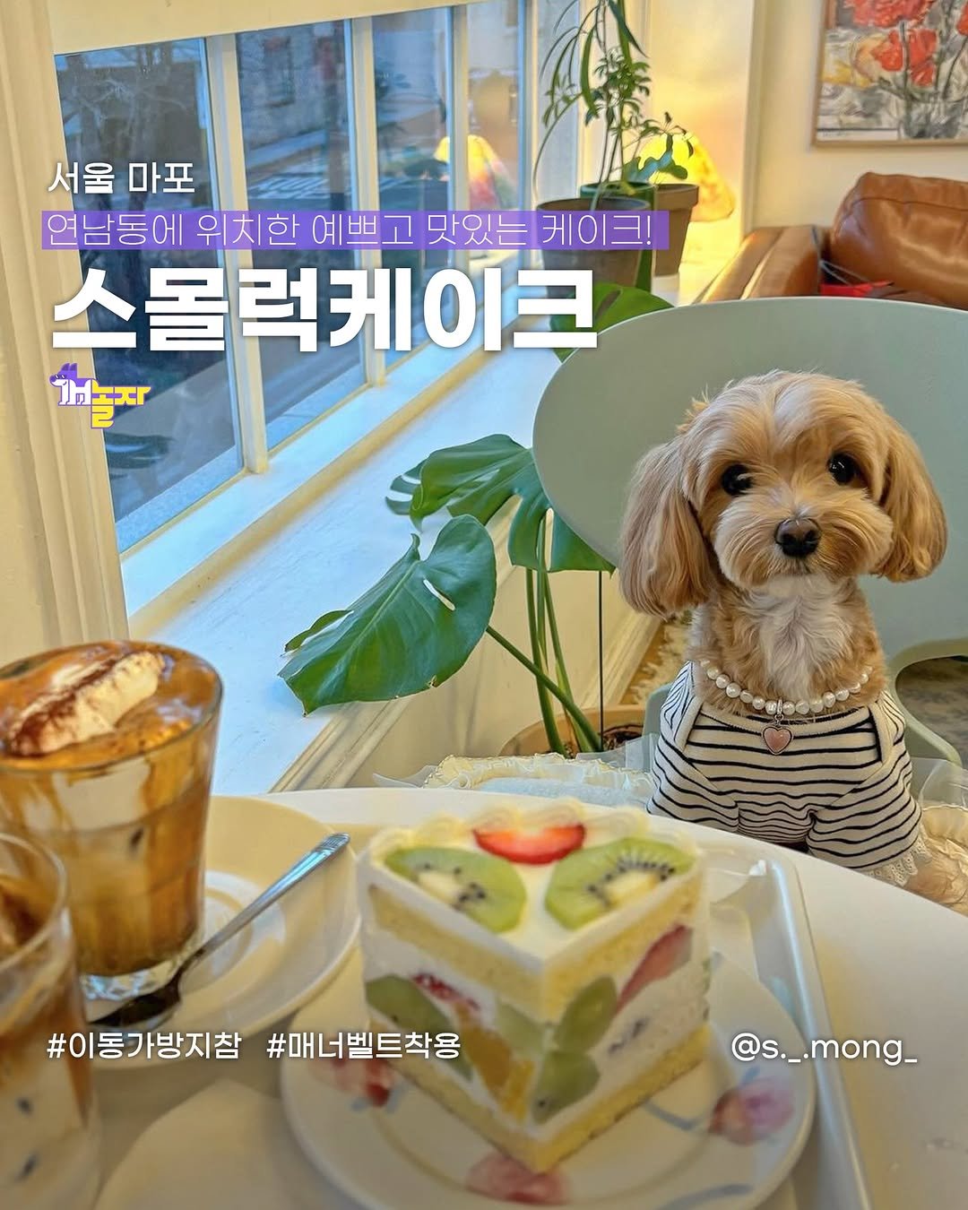 Photo shared by 개놀자 애견동반 반려동물 애견동반장소 애견동반앱 강아지 on April 03, 2024 tagging @smallucke, and @s._.mong_.