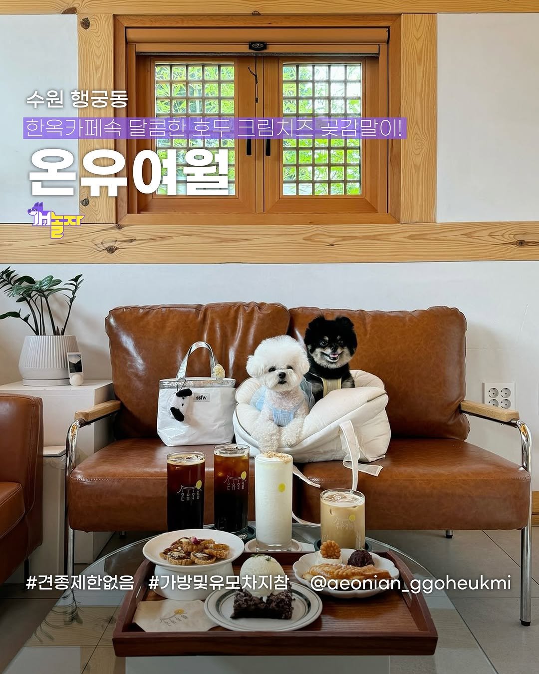 Photo shared by 개놀자 애견동반 반려동물 애견동반장소 애견동반앱 강아지 on September 19, 2024 tagging @aeonian_ggoheukmi, and @cafe_onu_yeowol.