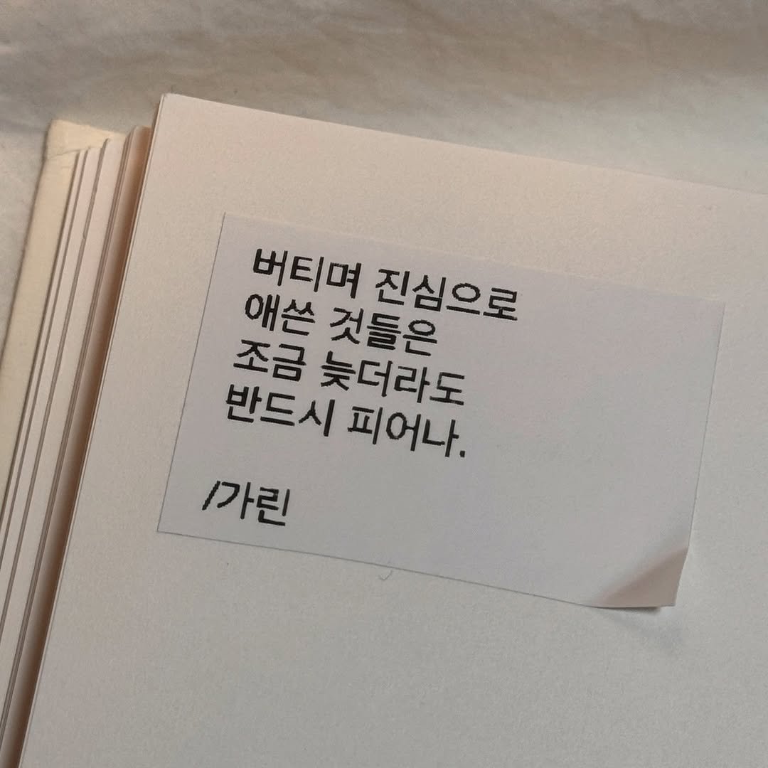 Photo by 가 린 on April 14, 2026. May be an image of book and text that says '버티며 진심으로 애쓴 것들은 조금 반드시 반드시피어나. 피어나. 늦더라도 1가린'.