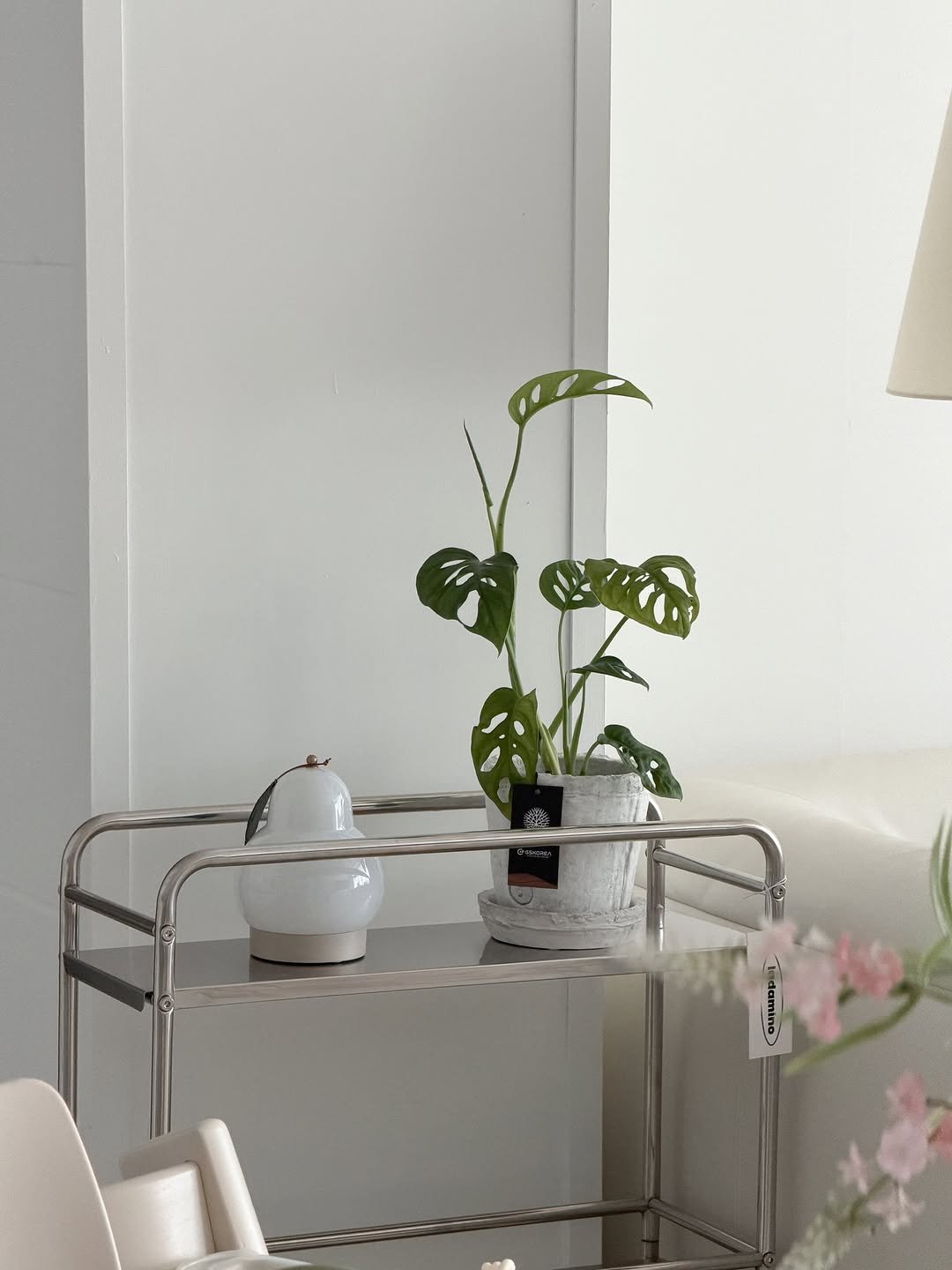 gamja_room 게시물 이미지: 제공 | 덥고 습한 계절, 집안에 생기를 더해주는 초록이들🌿

초록이 하나만...