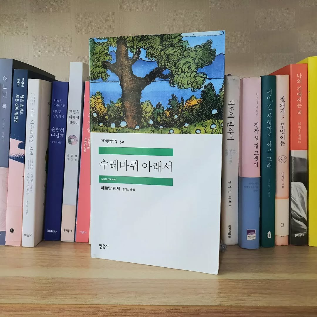 gamseong_ingan_bookreview 게시물 이미지: <수레바퀴 아래서> 서평📚
평점 ★★★★☆ 4.3
"소년출세의 위험을 보여주는...
