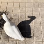 oree_books 프로필 사진