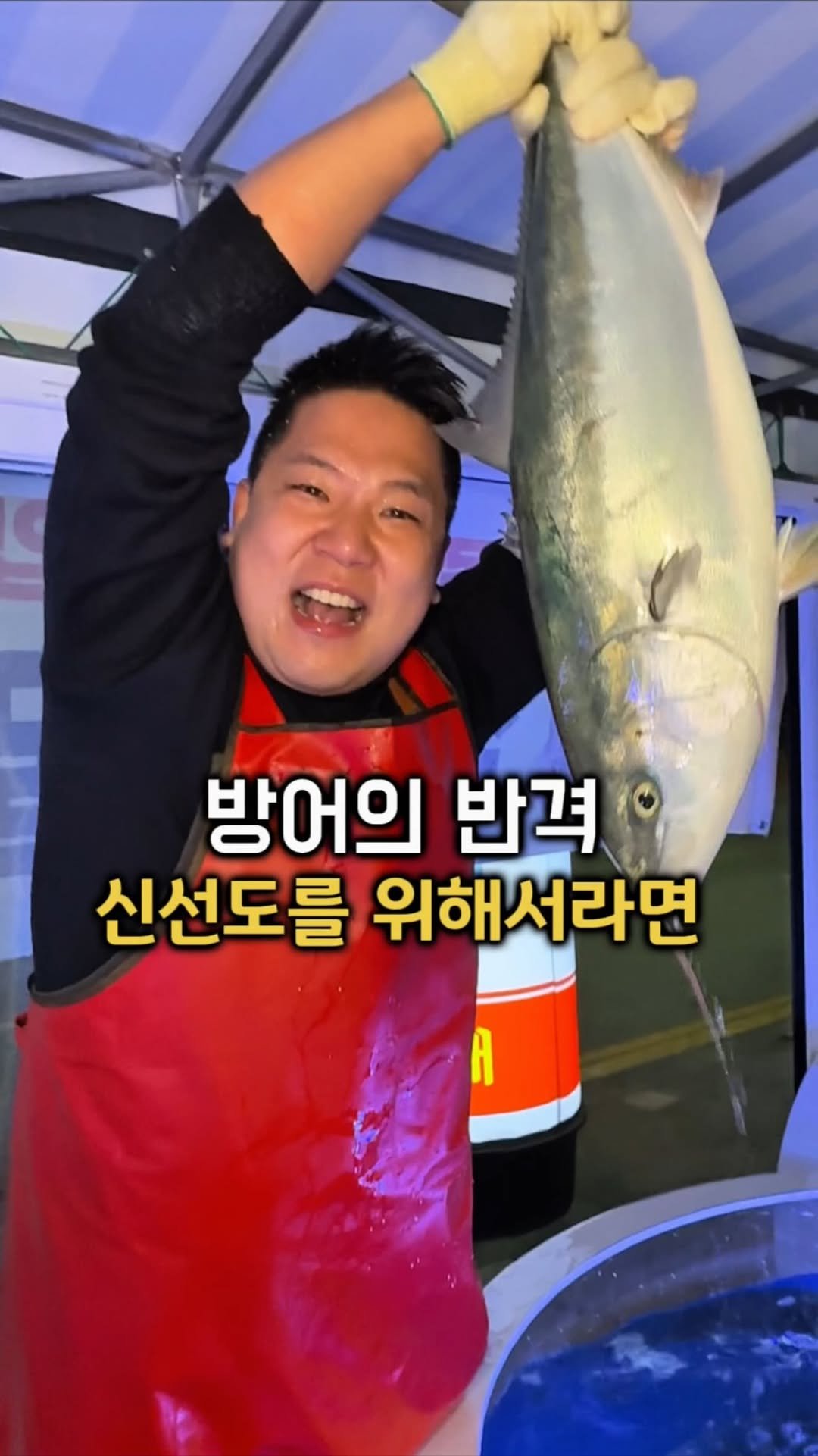 gamsung_queen 게시물 이미지: 방어의 반격!!
이런 싱싱한방어 없습니다
싱싱함이 살아있는 제철 방어 수조에서 바로...