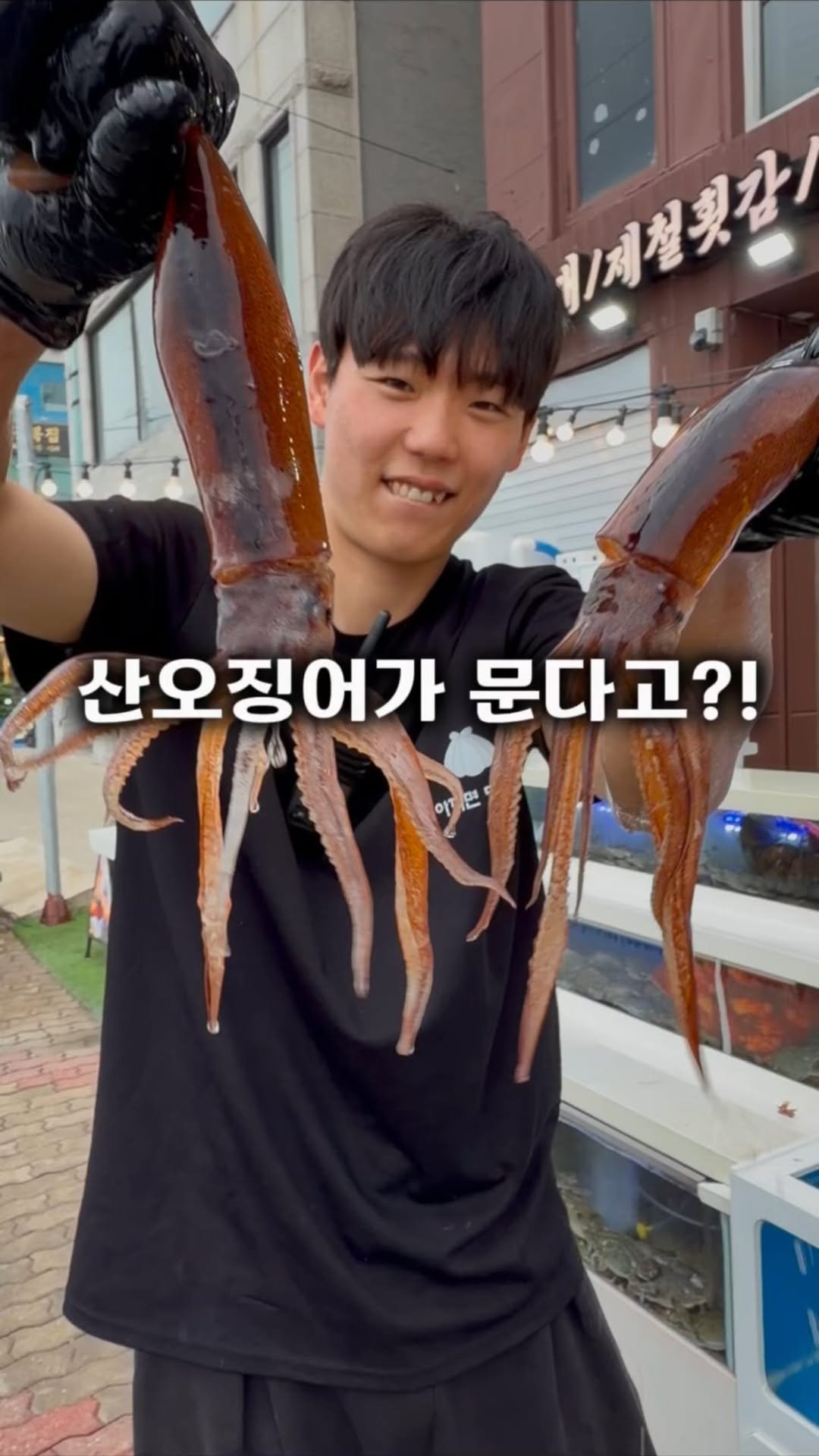gamsung_queen 게시물 이미지: 오징어가 사람을 문다고?😳
처음엔 저도 안 믿었는데
산오징어 들었다가 진짜...
