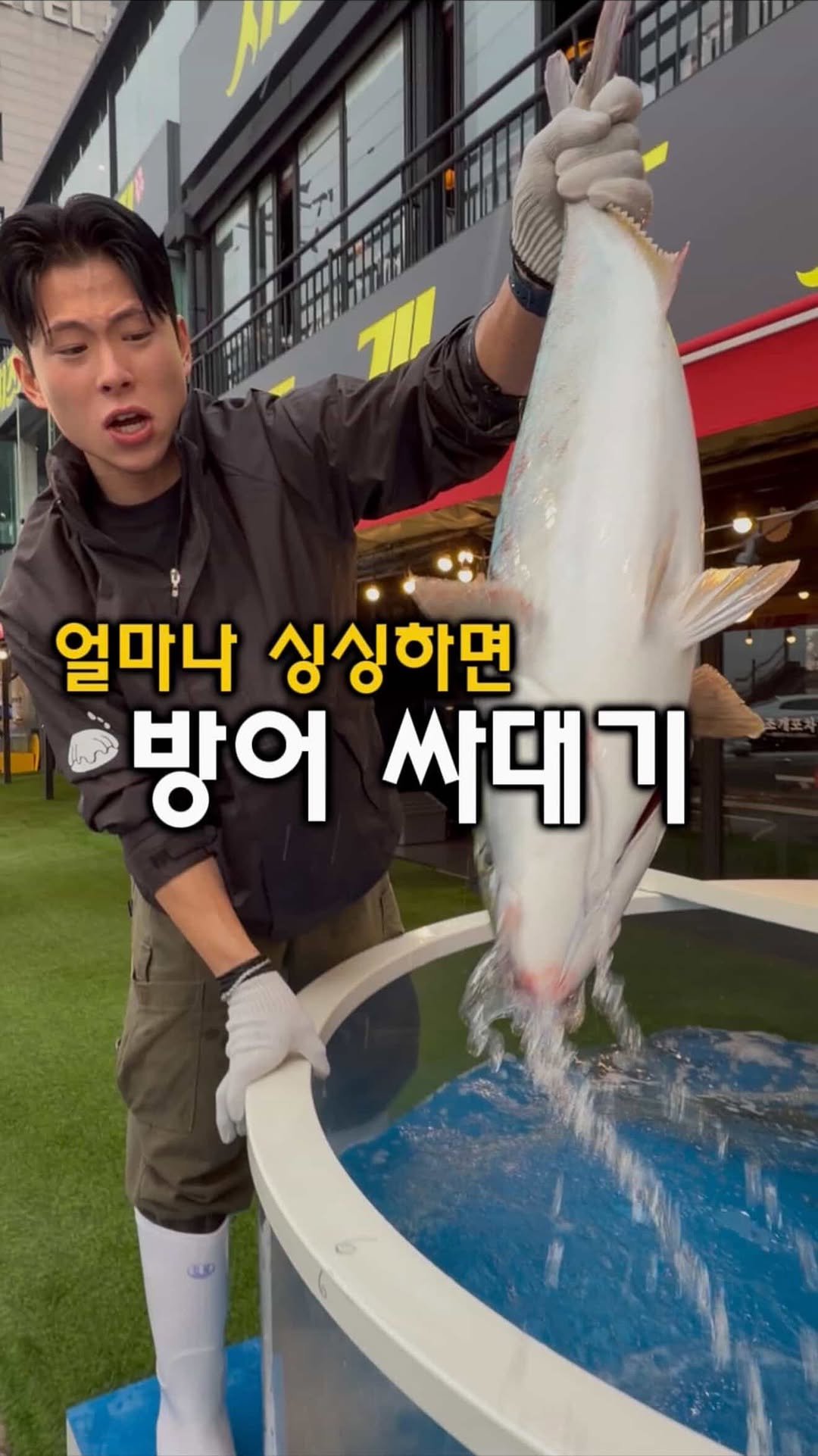 gamsung_queen 게시물 이미지: 방어 싸대기 맞은 직원! 대단쓰~
이런 방어 비주얼, 실화야?”
수조 속 방어를...