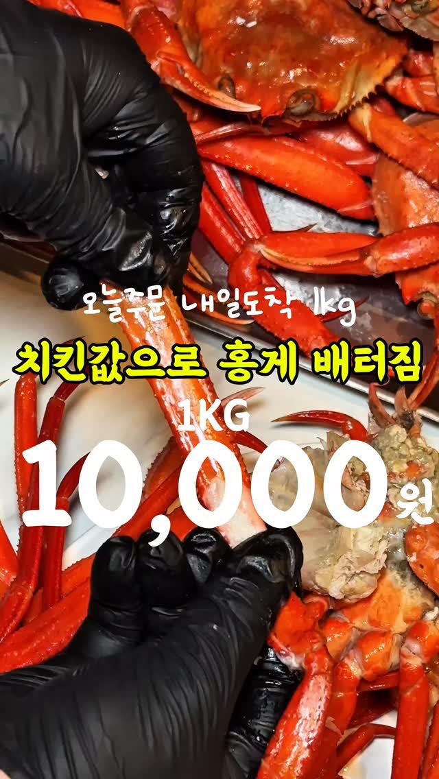 gamtan_marine 게시물 이미지: 치킨값으로 배~터지게 홍게먹기🦀
누적 1,000만뷰 찍은 홍게🦀 이유가 다...