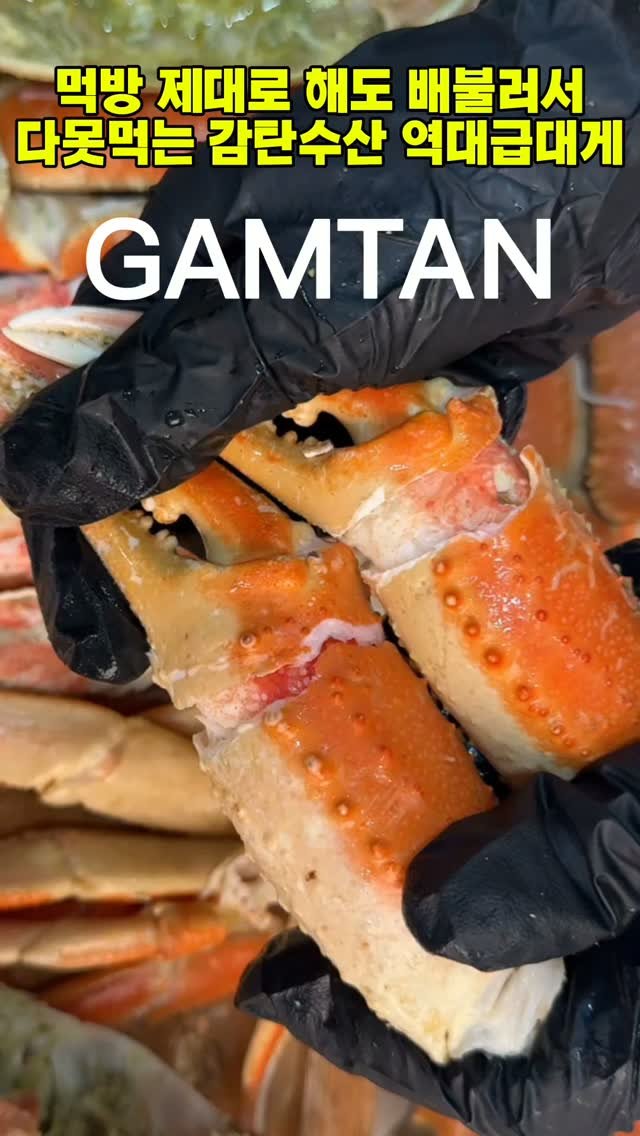 gamtan_marine 게시물 이미지: “반값도 아니고 이건 그냥 미친 가격이야...”
누적 1,000만뷰 찍은 감탄수산🦀...