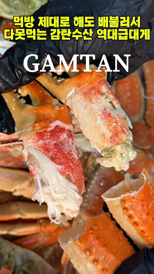 gamtan_marine 게시물 이미지: “반값도 아니고 이건 그냥 미친 가격이야...”
누적 1,000만뷰 찍은 감탄수산🦀...