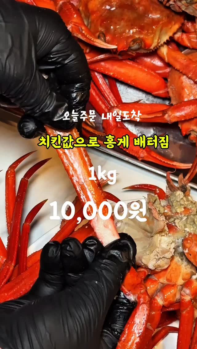 gamtan_marine 게시물 이미지: “오케이, 치킨 끊는다. 홍게 시킨다.”

감탄수산은 매일 새벽,
직접 바다에...