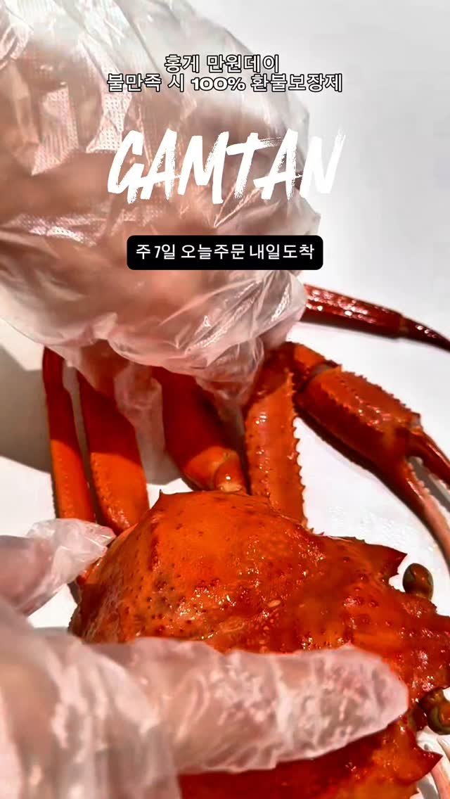 gamtan_marine 게시물 이미지: 다리살 빠지는거 한번 보세요
🕶홍게 여름에 파티하기 딱 좋습니다!
치킨값으로...