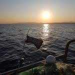 rladofks 프로필 사진