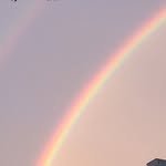 r.tari 프로필 사진