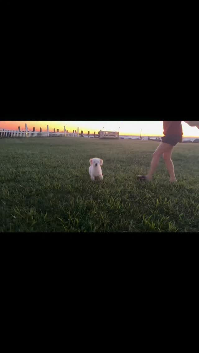 gangjjang337 게시물 이미지: 예뻐서올린다 예뻐서~

나만 피난처가 있고
나만 예수님 있고
나만 가족이 있는게...