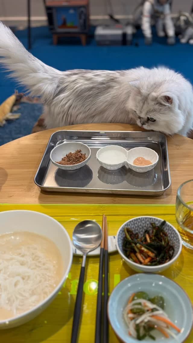 gangjjang337 게시물 이미지: 말씀 먹구 
팬분이 주신 #마이노멀 두부면’과 내친구 미자가 준 #콩물 로 
음식...