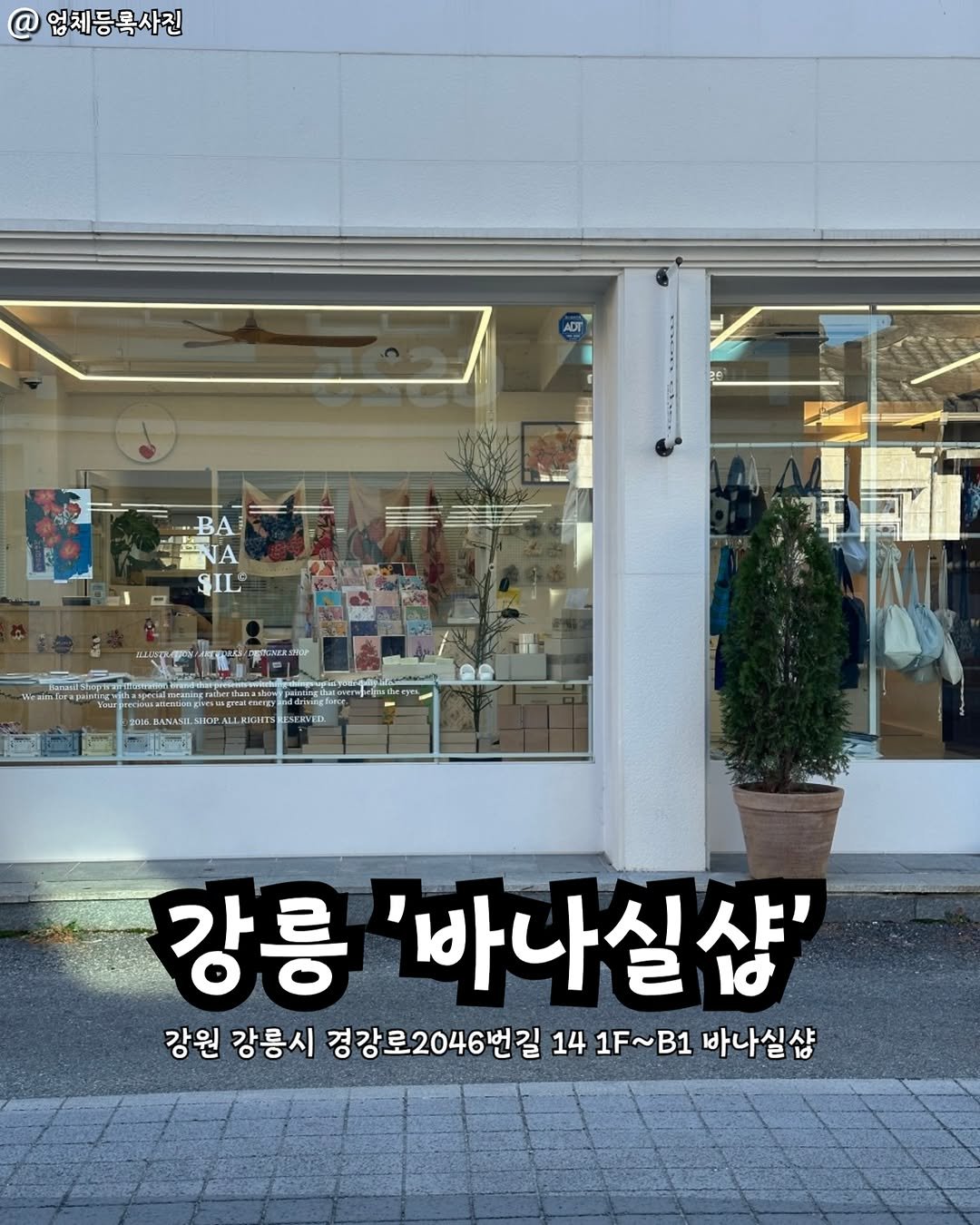 gangneung__nadri 게시물 이미지: 강릉 바나실샵👀

감성 일러스트 & 소품 편집샵🎁✨
감성 쇼룸으로 운영되는 오프라인...