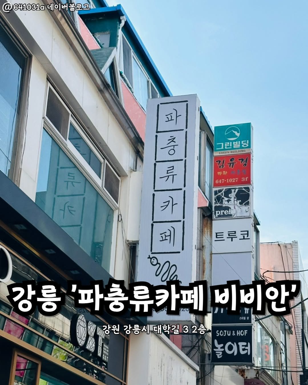 Photo by 강릉맛집 강릉핫플 속초맛집 양양맛집 동해맛집 강릉나드리 on August 07, 2025. May be an image of signboard and text that says '@ @641031.네이버몸로그 641031a 네이 네이버프로그 똘로그 그린빌딩 GREEN GREENBUILDING NILDING 김유경 카화티생 647-1027 3f 두 ع pres 트루코 파 피 충 류 카 페 ola 강릉 '파충류카페 비빈안' SOJU&HOF SOJU F MORNV 0 강원 강릉시대학길 3 2층 놀이터'.