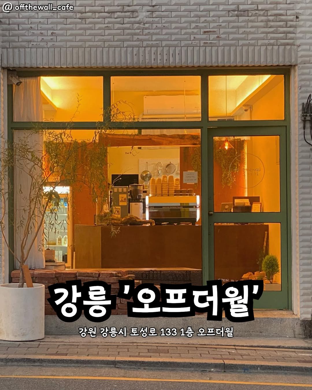 Photo by 강릉맛집 강릉핫플 속초맛집 양양맛집 동해맛집 강릉나드리 on February 13, 2026. May be an image of text that says '@ offthewall_cafe 강릉 오프더월' 강원 강릉시 도성로 1331 133 1층 오프더월'.