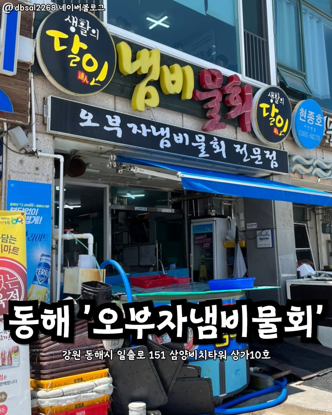 Photo by 강릉맛집 강릉핫플 속초맛집 양양맛집 동해맛집 강릉나드리 on August 14, 2025. May be an image of signboard and text that says 'dbsal22684 달의 20) 2 생활의 速人 ហ្តមា 進人 새화, ညပျိ 모부 복 자냄비물회 전문점 달이 20 다 일트 현 현종호 0は 1ol' a 珍01 OXg 없이 요렇게! 별게!! ባክ 담는 라이트 마트 TERRA 은 반매합니다 ส 동해 오부자냄비물회' 강원 동해시 일룰로 151 삼양비치타워 치타워 상가10호 우'.