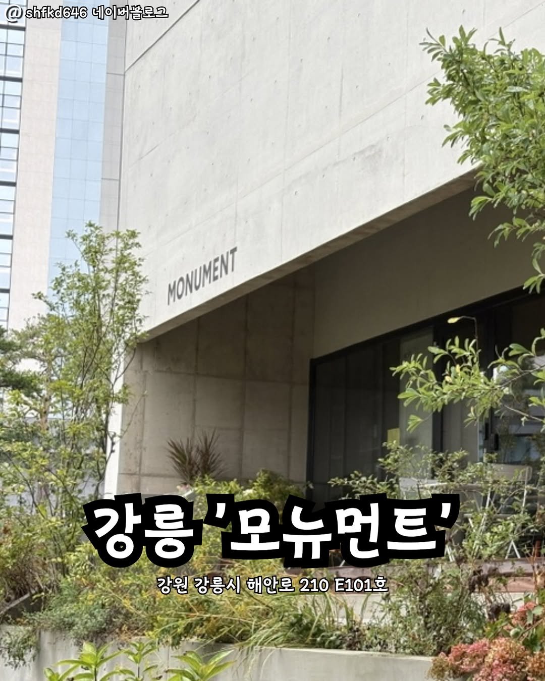 Photo by 강릉맛집 강릉핫플 속초맛집 양양맛집 동해맛집 강릉나드리 on November 09, 2025. May be an image of text that says 'shfkd646 네이버블로그 MONUMENT ΜΟΝ 강릉 모뉴먼트 강원 원강릉시 해안로 210 E101호'.